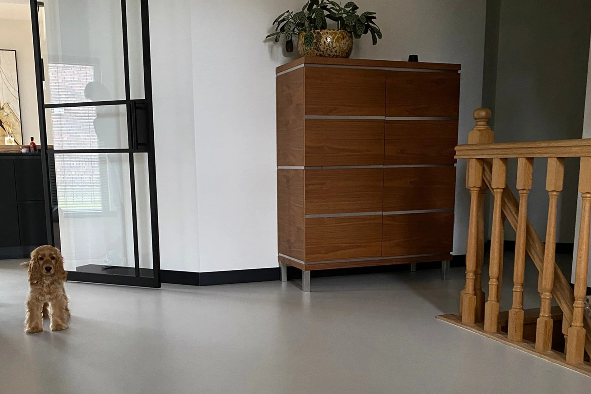 Een PU gietvloer met huisdieren | Romar-Voss Floor Systems