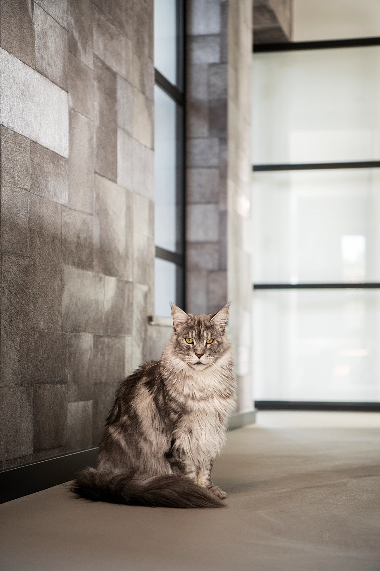 Referentie Premium Leef-Beton - Fossil - Sint-Oedenrode38 Referentie Premium Leef-Beton - Fossil - Sint-Oedenrode38